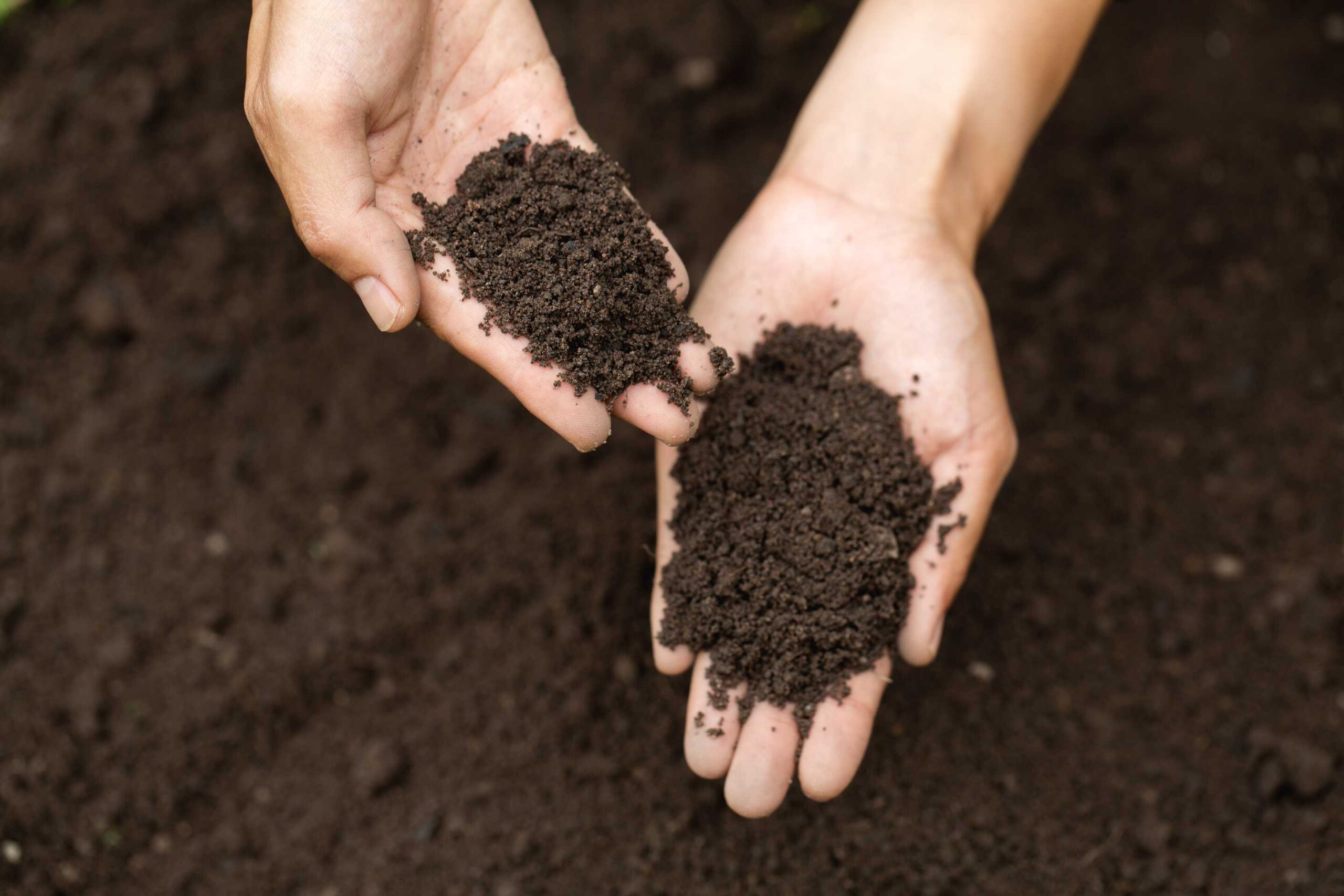 organic npk fertilizer